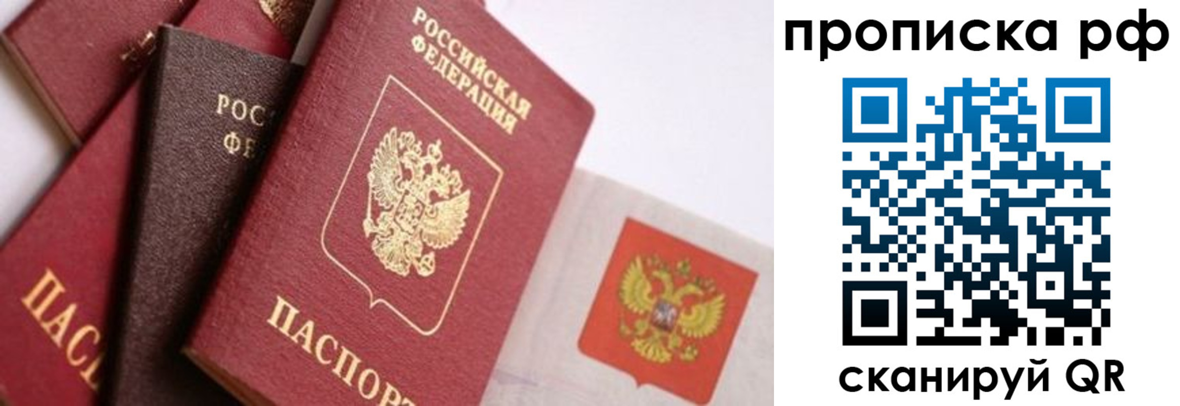 найти адрес прописки в Электрогорске